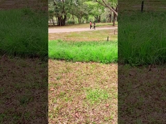 Innovative Technologie 100W tragbares Solarpanel für Outdoor-Abenteuer