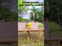 60w-Portable Solarpanel